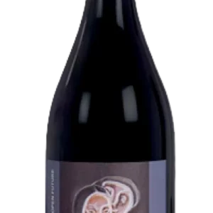 ORTEGA MATERA 2019